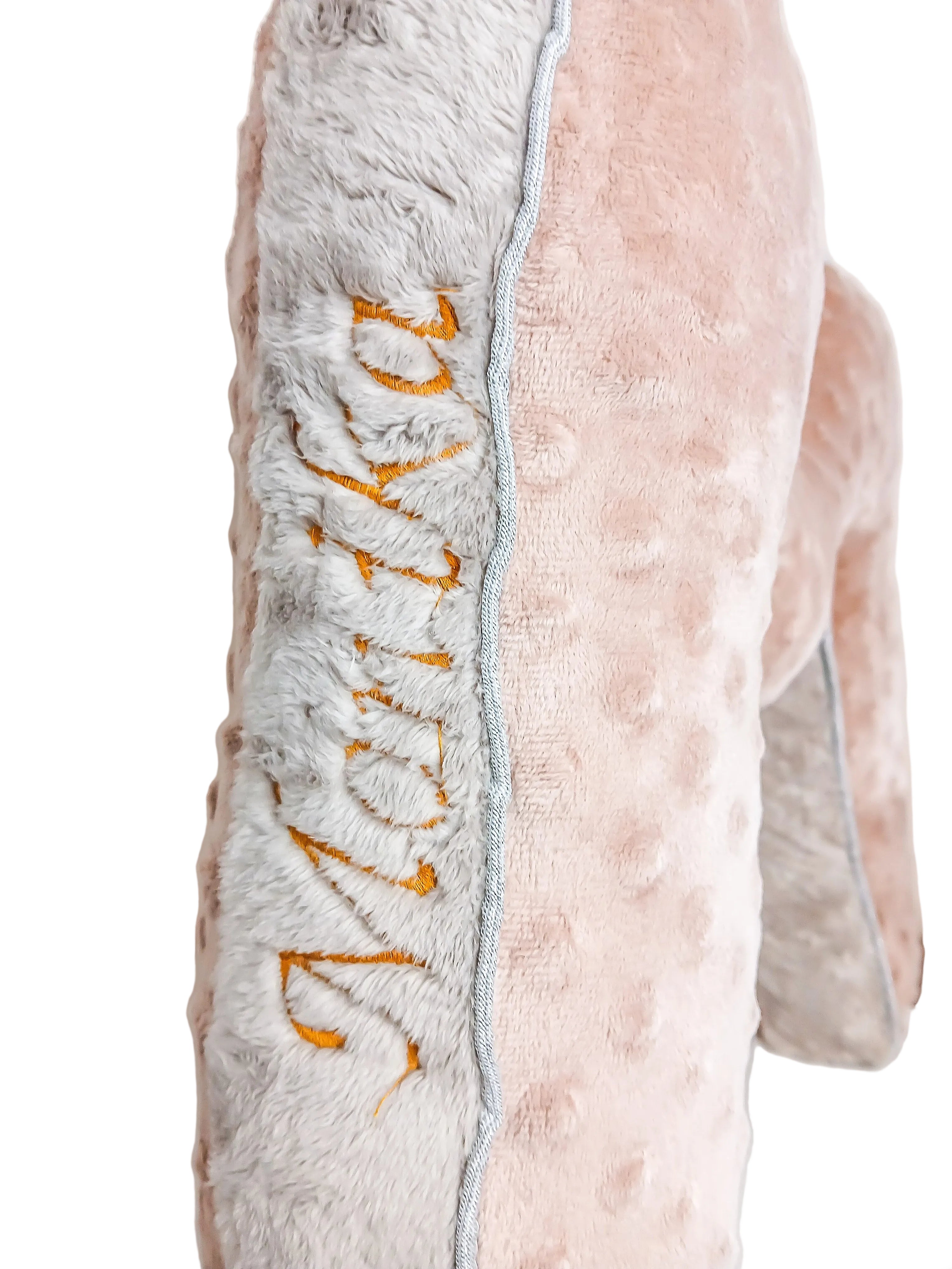 Soft minky letter pillow